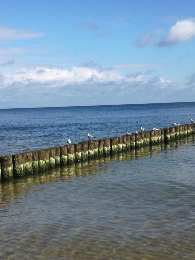 Ferienbungalow Ancora In Koserow Buitenkant foto